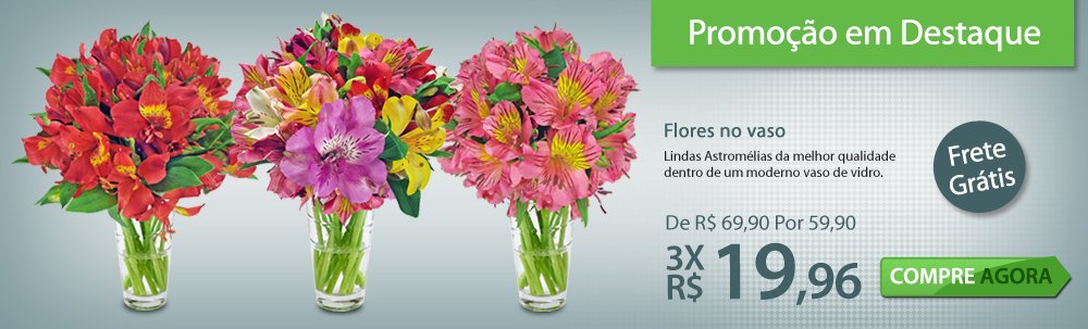 Promoção em Destaque - Flores no Vaso