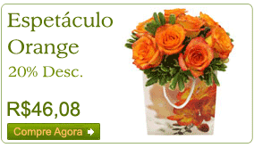 Aproveite a coleção especial com FRETE GRÁTIS!