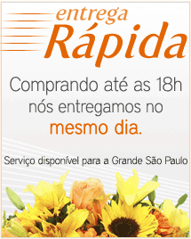 Entrega Rápida de Flores e Presentes - São Paulo