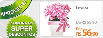 Celebre uma amizade com flores: um presente especial para uma amizade especial. A Nova Flor envia flores para todo o Brasil. Faça o seu pedido de flores online.