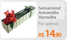 Celebre uma amizade com flores: um presente especial para uma amizade especial. A Nova Flor envia flores para todo o Brasil. Faça o seu pedido de flores online.