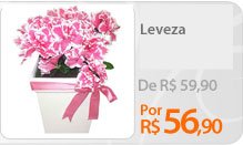 Dê flores para as mães ainda na maternidade. A Nova Flor oferece kits de presentes e arranjos de flores para mães e bebês. Faça seu pedido de flores online. Entrega em todo o Brasil.