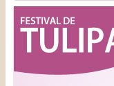 Festival de Tulipas