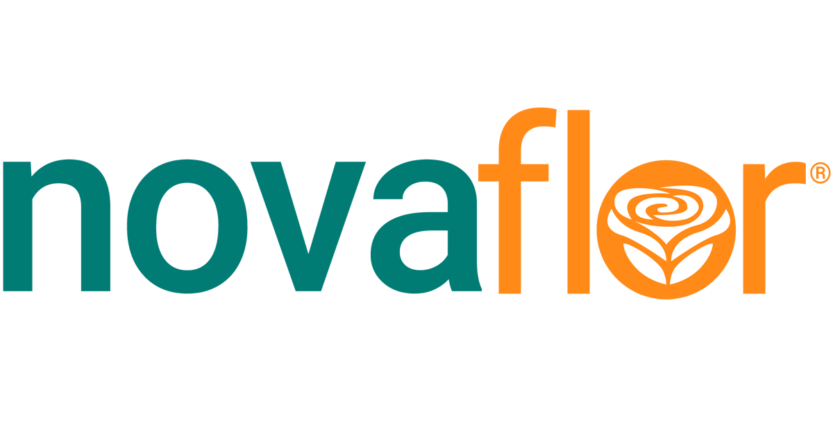Nova Flor: Floricultura Online Com Entrega Em Todo o Brasil Nova Flor: Floricultura Online Com Entrega Em Todo o Brasil